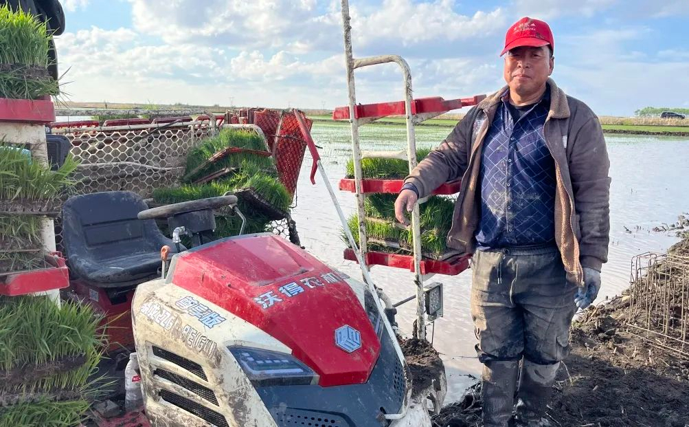 用戶說驍龍：沃得插秧機，讓每一株秧苗“挺直腰桿”